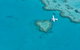 Great Barrier Reef - Whitsundays - thumb 0