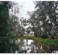 Henty Government Dam Nature Reserve - Accommodation Gold Coast