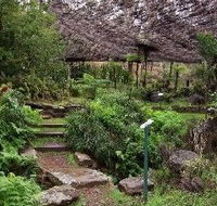 Burrendong Botanic Garden and Arboretum - Accommodation Gold Coast