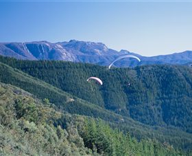 Buffalo Brewery - Accommodation Gold Coast 0