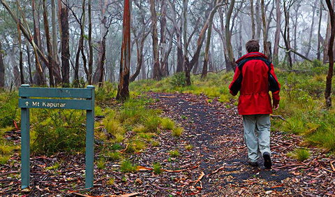 Mount Kaputar Summit Walk - Accommodation Gold Coast 2