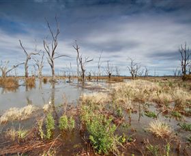 Winton Wetlands Reserve - Accommodation Gold Coast 4