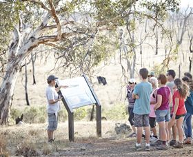 Winton Wetlands Reserve - Accommodation Gold Coast 5
