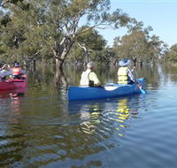 Doodle Cooma Swamp - Accommodation Gold Coast