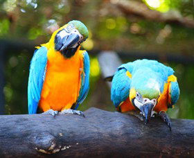 The Rockhampton Zoo - Accommodation Gold Coast 2