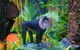 The Rockhampton Zoo - thumb 3