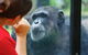 The Rockhampton Zoo - thumb 0