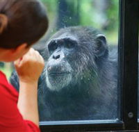 The Rockhampton Zoo - Accommodation Gold Coast