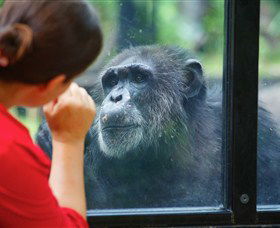 The Rockhampton Zoo - Accommodation Gold Coast 0