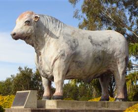 Rockhampton Bull Statues - 1 Gold Coast 1