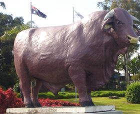 Rockhampton Bull Statues - 1 Gold Coast 0