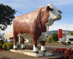 Rockhampton Bull Statues - 1 Gold Coast 2