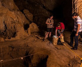 Capricorn Caves - Accommodation Gold Coast 2