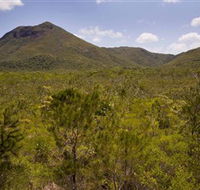 Kutini-Payamu Iron Range National Park CYPAL - Accommodation Gold Coast