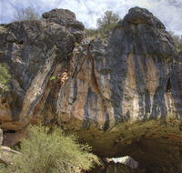 Borenore Karst Conservation Reserve - Accommodation Gold Coast