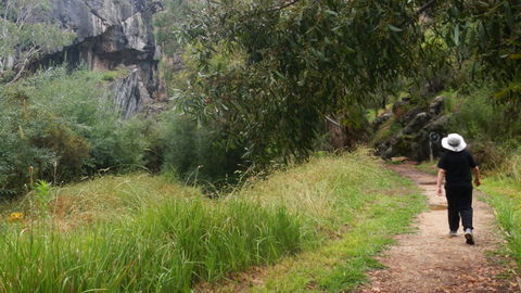 Borenore Karst Conservation Reserve - Accommodation Gold Coast 3