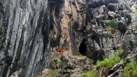 Borenore Karst Conservation Reserve - Accommodation Gold Coast 2