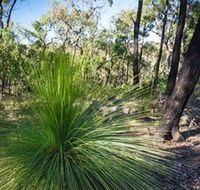 Brisbane Ranges National Park - Accommodation Gold Coast