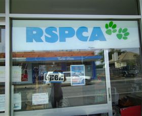 R.S.P.C.A Opportunity Shop - Accommodation Gold Coast 0