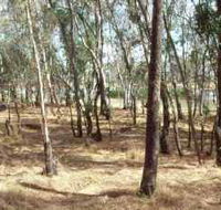 Chiltern-Mt Pilot National Park - Accommodation Gold Coast