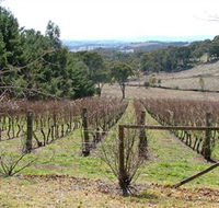 Habitat Vineyard - Accommodation Gold Coast