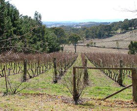 Habitat Vineyard - Accommodation Gold Coast 0