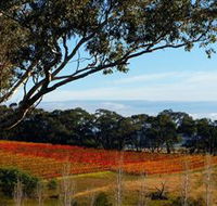 Bloodwood Estate - Accommodation Gold Coast