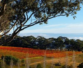 Bloodwood Estate - Accommodation Gold Coast 0