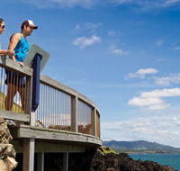 Mount Canobolas State Conservation Area - Accommodation Gold Coast