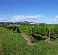 Hedberg Hill Wines - Accommodation Gold Coast