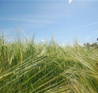 150 Degrees East Meridian - Accommodation Gold Coast