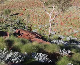 Camel Trail, Millstream-Chichester National Park - 1 Gold Coast 2