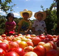 Bonny Glen Fruits - Accommodation Gold Coast