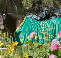 Living Legends The International Home of Rest for Champion Horses - Accommodation Gold Coast