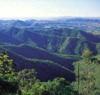 Kroombit Tops National Park - Gold Coast 4U