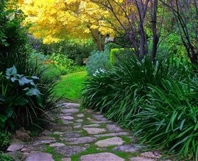 Out Of Town Nursery And Humming Garden - 1 Gold Coast 2