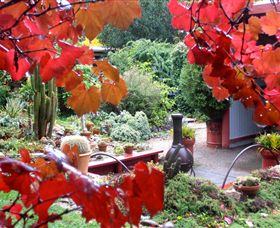 Out Of Town Nursery And Humming Garden - 1 Gold Coast 1