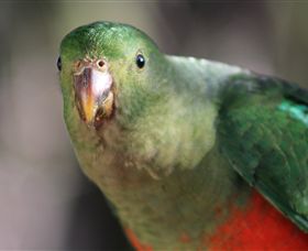 Out Of Town Nursery And Humming Garden - 1 Gold Coast 3