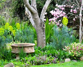 Out Of Town Nursery And Humming Garden - 1 Gold Coast 4