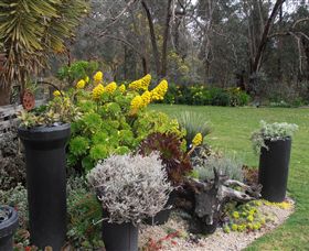 Out Of Town Nursery And Humming Garden - 1 Gold Coast 5