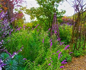 Out Of Town Nursery And Humming Garden - 1 Gold Coast 7