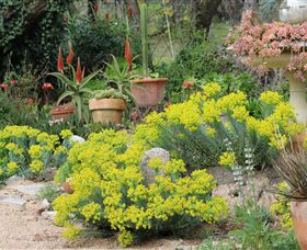 Out Of Town Nursery And Humming Garden - 1 Gold Coast 8