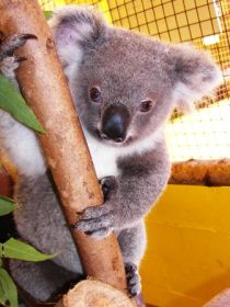  Accommodation Gold Coast