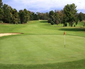 Commercial Golf Course - Accommodation Gold Coast 1