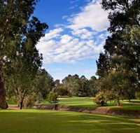 Commercial Golf Course - Accommodation Gold Coast