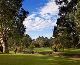 Commercial Golf Course - Accommodation Gold Coast 0