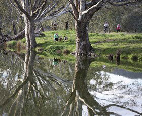 Wagirra Trail And Yindyamarra Sculpture Walk - 1 Gold Coast 1