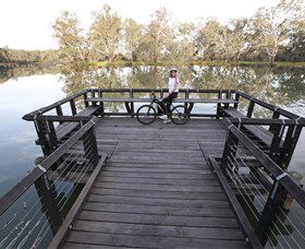 Wagirra Trail And Yindyamarra Sculpture Walk - 1 Gold Coast 6