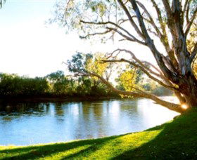 Albury - Murray River Precinct - Accommodation Gold Coast 0