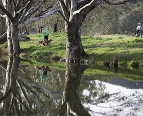 Albury - Murray River Precinct - Accommodation Gold Coast 3